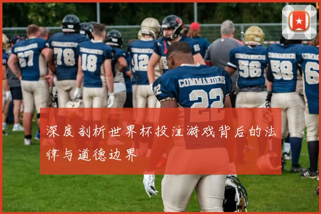 深度剖析世界杯投注游戏背后的法律与道德边界