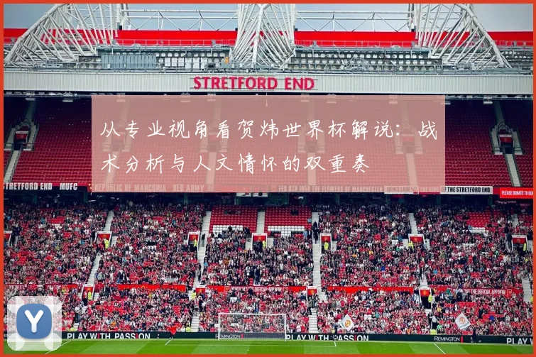 从专业视角看贺炜世界杯解说：战术分析与人文情怀的双重奏