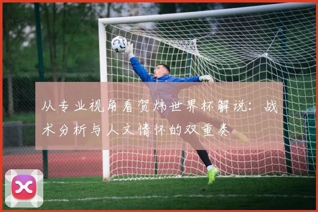 从专业视角看贺炜世界杯解说：战术分析与人文情怀的双重奏