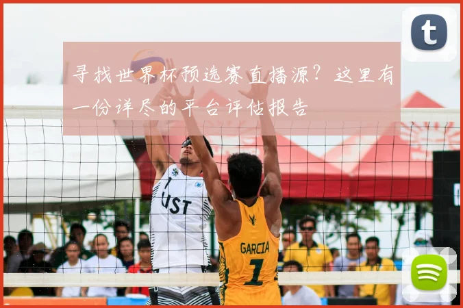 寻找世界杯预选赛直播源？这里有一份详尽的平台评估报告