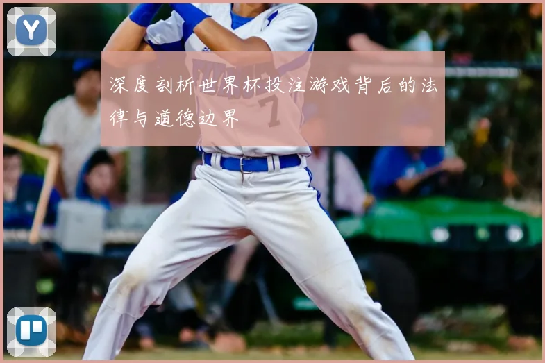 深度剖析世界杯投注游戏背后的法律与道德边界