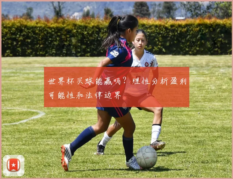 世界杯买球能赢吗？理性分析盈利可能性和法律边界