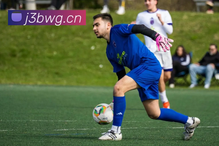 九游app官网入口账号APP 封面图